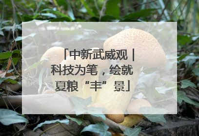 中新武威观｜科技为笔，绘就夏粮“丰”景