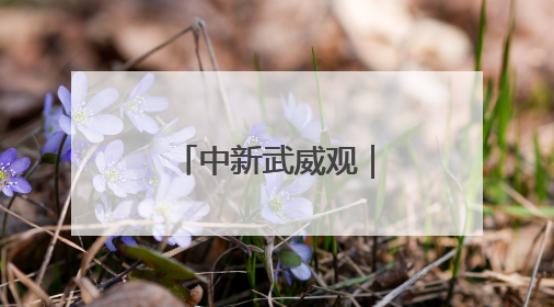 中新武威观｜凉州设施蔬菜种出好“丰”景