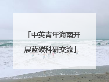 中英青年海南开展蓝碳科研交流