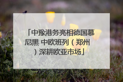 中豫港务亮相德国慕尼黑 中欧班列（郑州）深耕欧亚市场