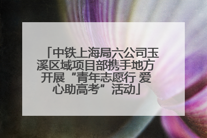 中铁上海局六公司玉溪区域项目部携手地方开展“青年志愿行 爱心助高考”活动