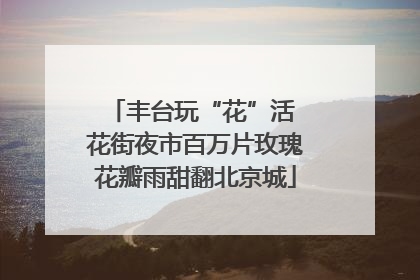 丰台玩“花”活 花街夜市百万片玫瑰花瓣雨甜翻北京城