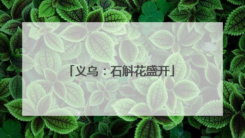 义乌：石斛花盛开