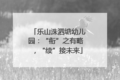 乐山洙泗塘幼儿园：“衔”之有略，“续”接未来