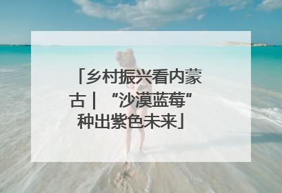 乡村振兴看内蒙古｜“沙漠蓝莓”种出紫色未来