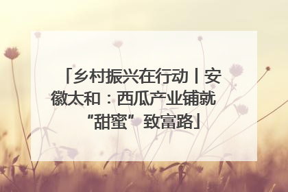 乡村振兴在行动丨安徽太和：西瓜产业铺就“甜蜜”致富路