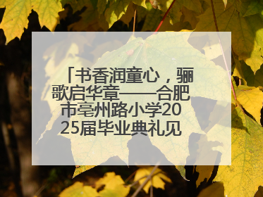 书香润童心，骊歌启华章——合肥市亳州路小学2025届毕业典礼见证成长时刻