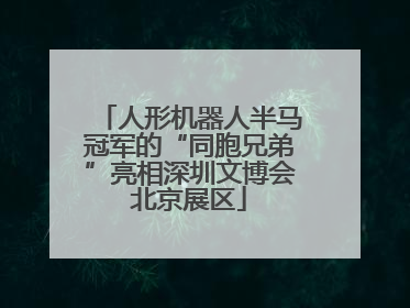人形机器人半马冠军的“同胞兄弟”亮相深圳文博会北京展区