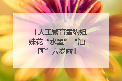 人工繁育雪豹姐妹花“水墨”“油画”六岁啦