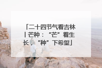 二十四节气看吉林丨芒种：“芒”着生长，“种”下希望