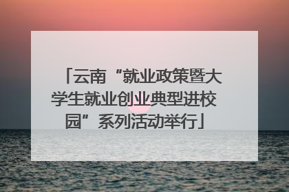 云南“就业政策暨大学生就业创业典型进校园”系列活动举行