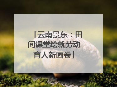 云南景东：田间课堂绘就劳动育人新画卷