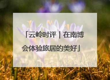 云岭时评｜在南博会体验旅居的美好
