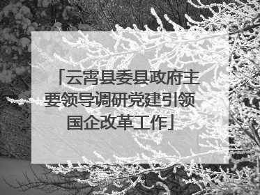 云霄县委县政府主要领导调研党建引领国企改革工作