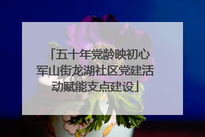 五十年党龄映初心 军山街龙湖社区党建活动赋能支点建设