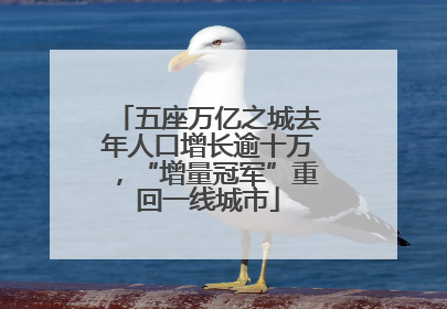 五座万亿之城去年人口增长逾十万，“增量冠军”重回一线城市