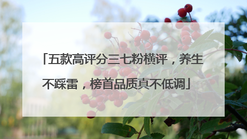 五款高评分三七粉横评，养生不踩雷，榜首品质真不低调