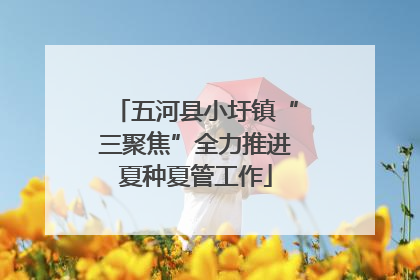 五河县小圩镇“三聚焦”全力推进夏种夏管工作