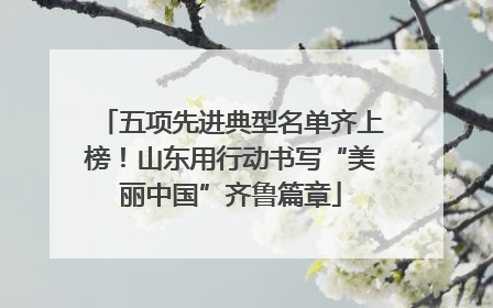 五项先进典型名单齐上榜！山东用行动书写“美丽中国”齐鲁篇章