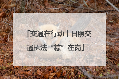 交通在行动丨日照交通执法“粽”在岗