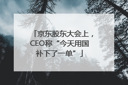 京东股东大会上，CEO称“今天用国补下了一单”