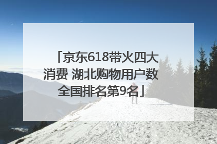 京东618带火四大消费 湖北购物用户数全国排名第9名