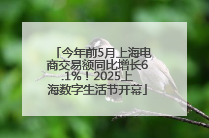 今年前5月上海电商交易额同比增长6.1%！2025上海数字生活节开幕
