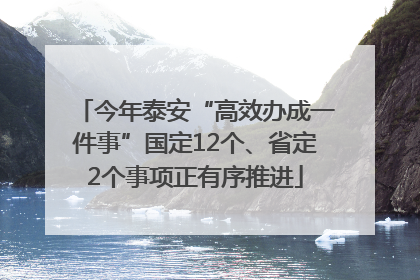 今年泰安“高效办成一件事”国定12个、省定2个事项正有序推进
