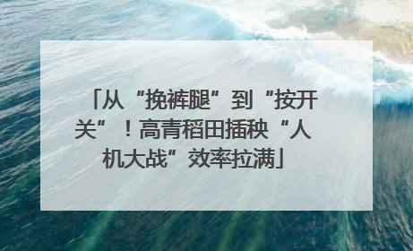 从“挽裤腿”到“按开关”！高青稻田插秧“人机大战”效率拉满
