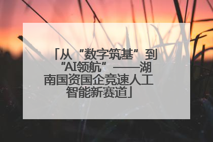 从“数字筑基”到“AI领航”——湖南国资国企竞速人工智能新赛道