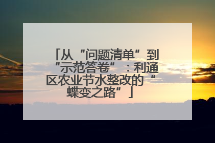 从“问题清单”到“示范答卷”：利通区农业节水整改的“蝶变之路”