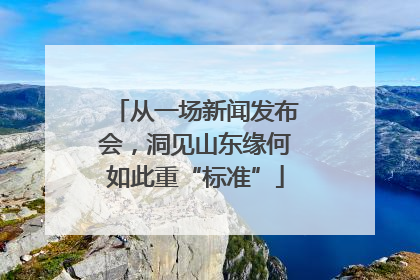 从一场新闻发布会，洞见山东缘何如此重“标准”