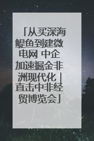 从买深海鳀鱼到建微电网 中企加速掘金非洲现代化｜直击中非经贸博览会