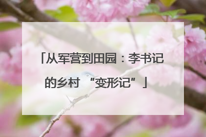 从军营到田园：李书记的乡村 “变形记”
