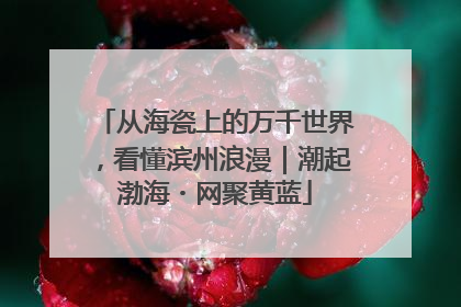 从海瓷上的万千世界，看懂滨州浪漫｜潮起渤海・网聚黄蓝