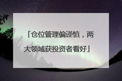 仓位管理偏谨慎，两大领域获投资者看好