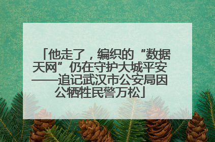 他走了，编织的“数据天网”仍在守护大城平安——追记武汉市公安局因公牺牲民警万松