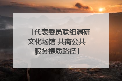 代表委员联组调研文化场馆 共商公共服务提质路径
