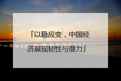 以稳应变,中国经济展现韧性与潜力