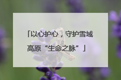 以心护心，守护雪域高原“生命之脉”