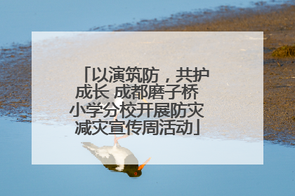 以演筑防，共护成长 成都磨子桥小学分校开展防灾减灾宣传周活动