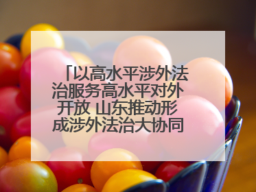 以高水平涉外法治服务高水平对外开放 山东推动形成涉外法治大协同工作格局