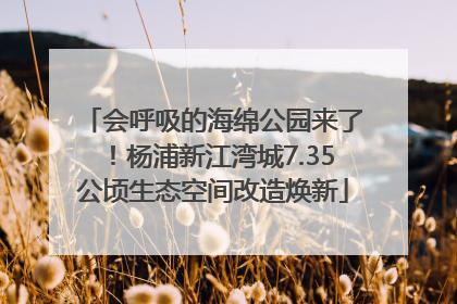 会呼吸的海绵公园来了！杨浦新江湾城7.35公顷生态空间改造焕新