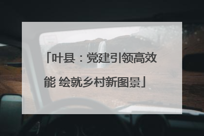 叶县：党建引领高效能 绘就乡村新图景