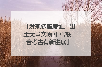 发现多座房址、出土大量文物 中乌联合考古有新进展