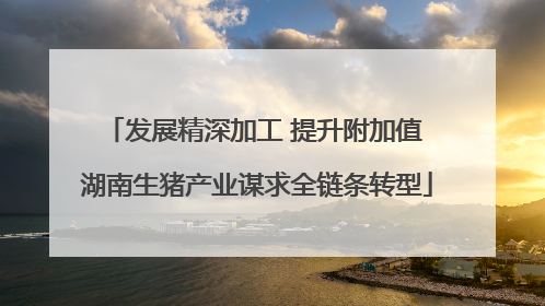发展精深加工 提升附加值 湖南生猪产业谋求全链条转型