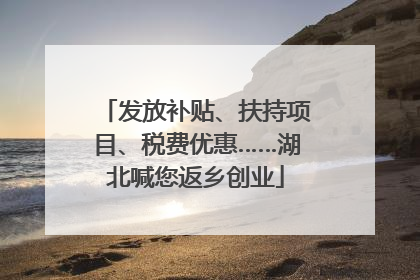 发放补贴、扶持项目、税费优惠……湖北喊您返乡创业