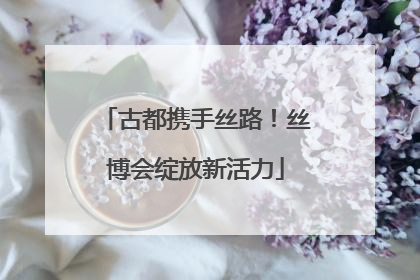古都携手丝路！丝博会绽放新活力