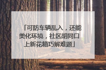 可防车辆乱入，还能美化环境，社区胡同口上新花箱巧解难题