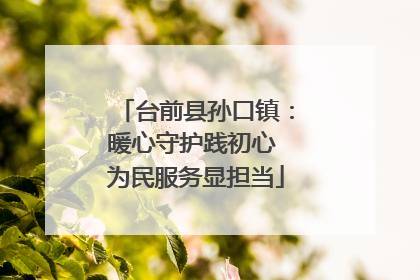 台前县孙口镇：暖心守护践初心 为民服务显担当